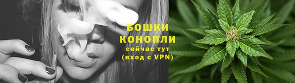 амф Богородицк